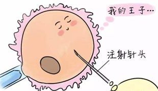 试管中卵子与精子结合的信号，做试管婴儿提高精子、卵子质量的方法，试管胚胎移植后着床的几个征兆