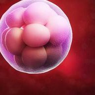 在株洲私立医院做试管是不是骗局？