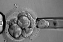 在樟树市做试管婴儿长方案周期需要多久？超长方案促排流程是怎么样的？