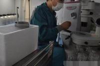 公布哈尔滨试管正规公立医院名单！2026试管双胎价格标准更新