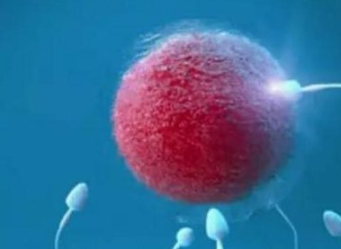 在海口玛丽医院想通过试管生个孩子可以吗？吗？