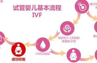 海口市妇幼保健院试管婴儿费用分享，看懂流程少花钱