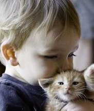 皇家生殖试管治疗中的精子选择与处理