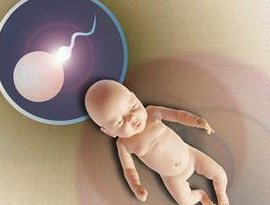 详细解读吉林市做长方案试管婴儿费用，长方案和短方案成功率有差别吗？