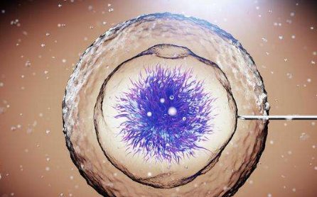 做试管婴儿精子和卵子不结合是什么原因，先弄清楚原因才关键