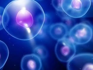 不孕不育白毛（不孕不育有怀孕的可能吗）