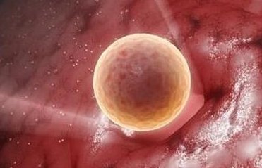 库尔勒市做试管婴儿怎么样？推荐这几家试管医院